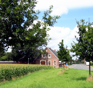 Sandruper Baum -
